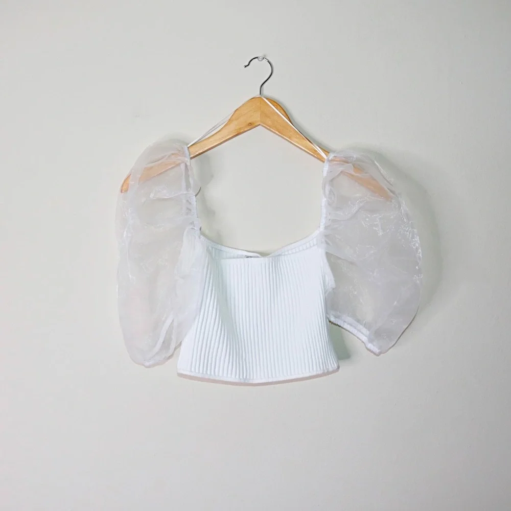 Zara Sheer Puff Sleeves Top with Organza Inserts - Picture 4 of 11